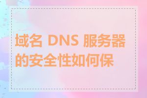 域名 DNS 服务器的安全性如何保障