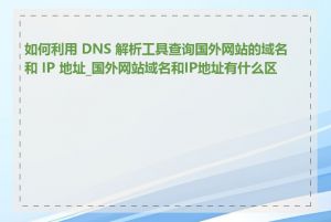 如何利用 DNS 解析工具查询国外网站的域名和 IP 地址_国外网站域名和IP地址有什么区别