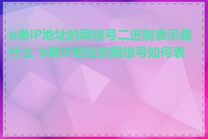 b类IP地址的网络号二进制表示是什么_b类IP地址的网络号如何表示