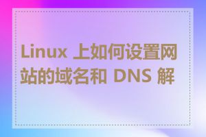 Linux 上如何设置网站的域名和 DNS 解析