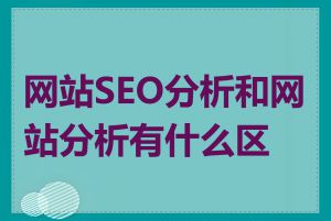 网站SEO分析和网站分析有什么区别