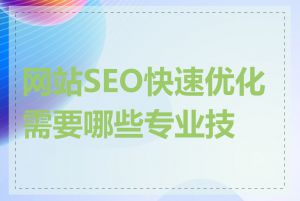 网站SEO快速优化需要哪些专业技能