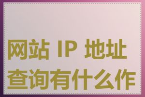 网站 IP 地址查询有什么作用