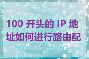 100 开头的 IP 地址如何进行路由配置