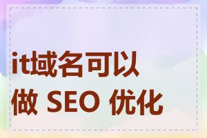 it域名可以做 SEO 优化吗