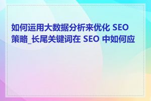 如何运用大数据分析来优化 SEO 策略_长尾关键词在 SEO 中如何应用