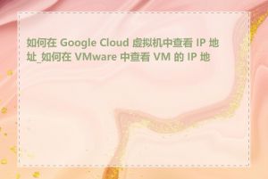 如何在 Google Cloud 虚拟机中查看 IP 地址_如何在 VMware 中查看 VM 的 IP 地址