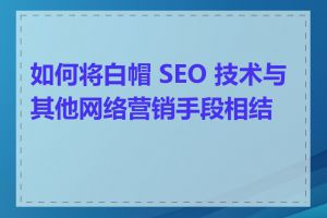 如何将白帽 SEO 技术与其他网络营销手段相结合