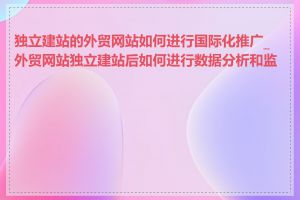 独立建站的外贸网站如何进行国际化推广_外贸网站独立建站后如何进行数据分析和监控