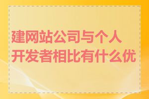 建网站公司与个人开发者相比有什么优势