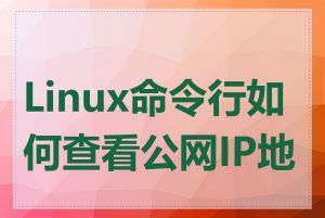 Linux命令行如何查看公网IP地址