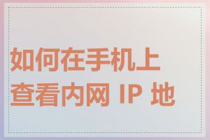 如何在手机上查看内网 IP 地址