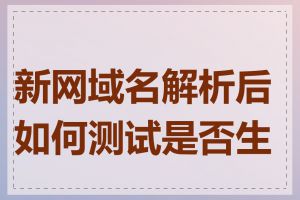 新网域名解析后如何测试是否生效