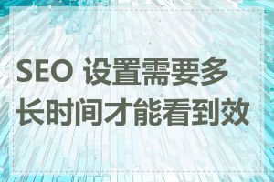 SEO 设置需要多长时间才能看到效果