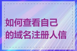 如何查看自己的域名注册人信息