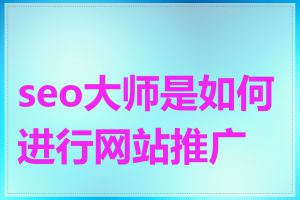 seo大师是如何进行网站推广的