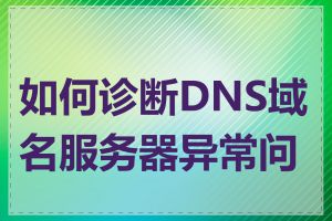 如何诊断DNS域名服务器异常问题