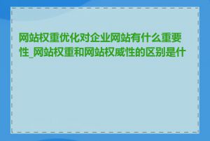 网站权重优化对企业网站有什么重要性_网站权重和网站权威性的区别是什么