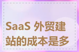 SaaS 外贸建站的成本是多少