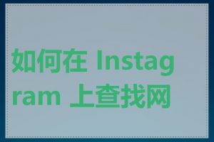 如何在 Instagram 上查找网址