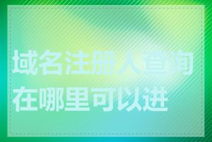 域名注册人查询在哪里可以进行