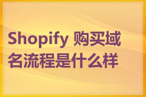 Shopify 购买域名流程是什么样的