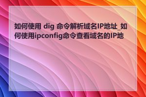 如何使用 dig 命令解析域名IP地址_如何使用ipconfig命令查看域名的IP地址