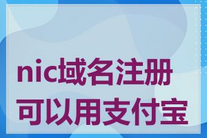 nic域名注册可以用支付宝吗