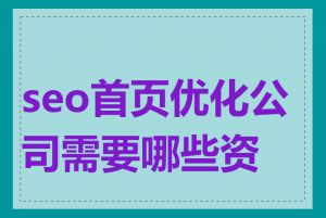 seo首页优化公司需要哪些资料