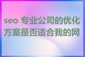 seo 专业公司的优化方案是否适合我的网站