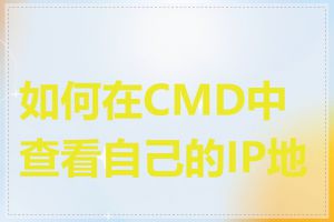 如何在CMD中查看自己的IP地址