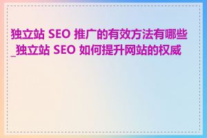 独立站 SEO 推广的有效方法有哪些_独立站 SEO 如何提升网站的权威性