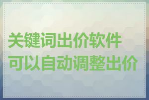 关键词出价软件可以自动调整出价吗