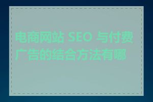 电商网站 SEO 与付费广告的结合方法有哪些