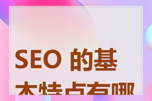 SEO 的基本特点有哪些