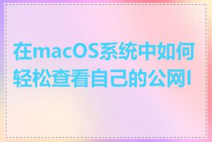 在macOS系统中如何轻松查看自己的公网IP