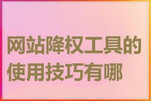 网站降权工具的使用技巧有哪些