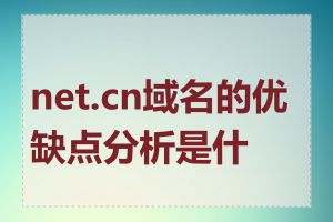 net.cn域名的优缺点分析是什么