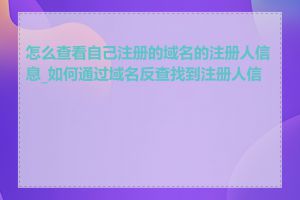 怎么查看自己注册的域名的注册人信息_如何通过域名反查找到注册人信息