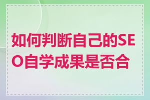 如何判断自己的SEO自学成果是否合格