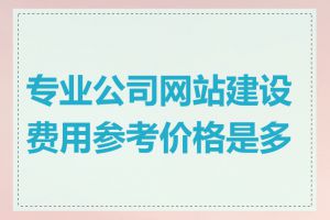 专业公司网站建设费用参考价格是多少