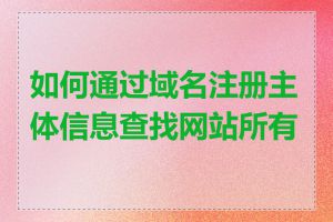 如何通过域名注册主体信息查找网站所有者