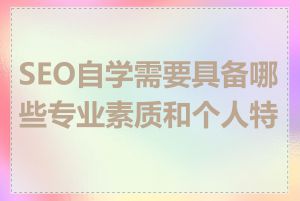 SEO自学需要具备哪些专业素质和个人特质