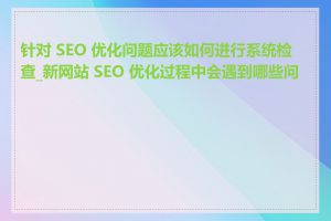 针对 SEO 优化问题应该如何进行系统检查_新网站 SEO 优化过程中会遇到哪些问题