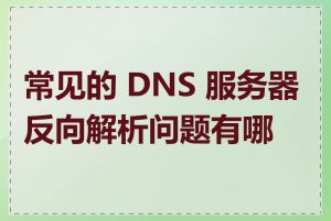 常见的 DNS 服务器反向解析问题有哪些