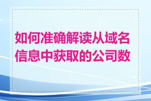 如何准确解读从域名信息中获取的公司数据