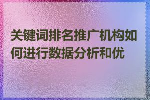 关键词排名推广机构如何进行数据分析和优化