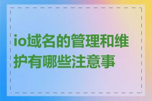 io域名的管理和维护有哪些注意事项