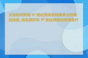 企业如何利用 IP 地址到域名转换来分析网站流量_域名解析和 IP 地址转换的原理是什么