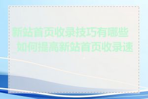 新站首页收录技巧有哪些_如何提高新站首页收录速度